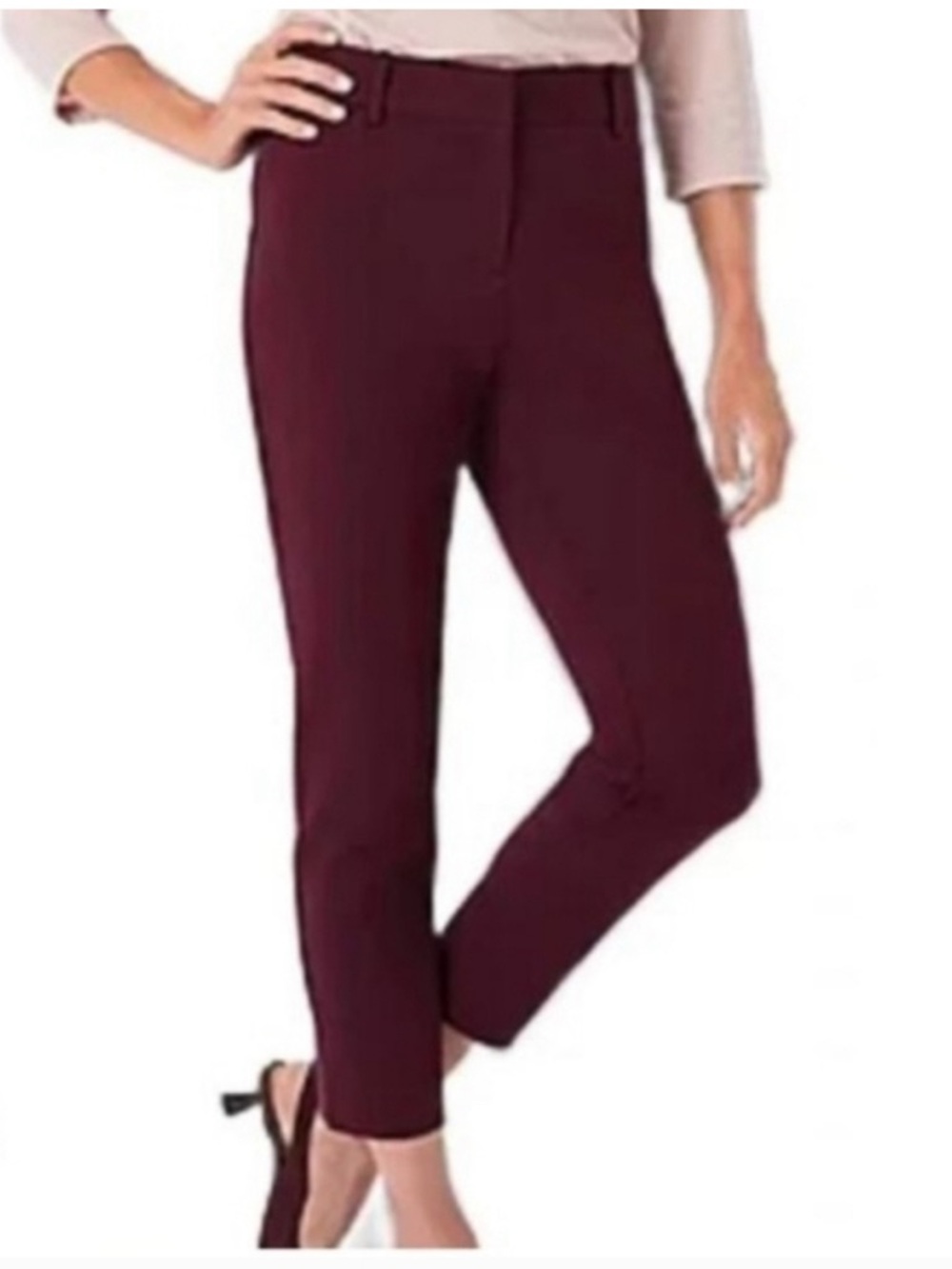 White House Black Market Wine Straight-Leg Ponte Pants